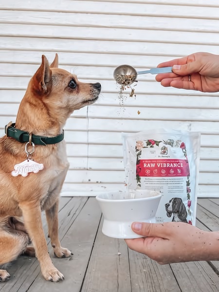 A close-up demonstration of a dog food supplement being sprinkled into a bowl, with the pet watching in anticipation.